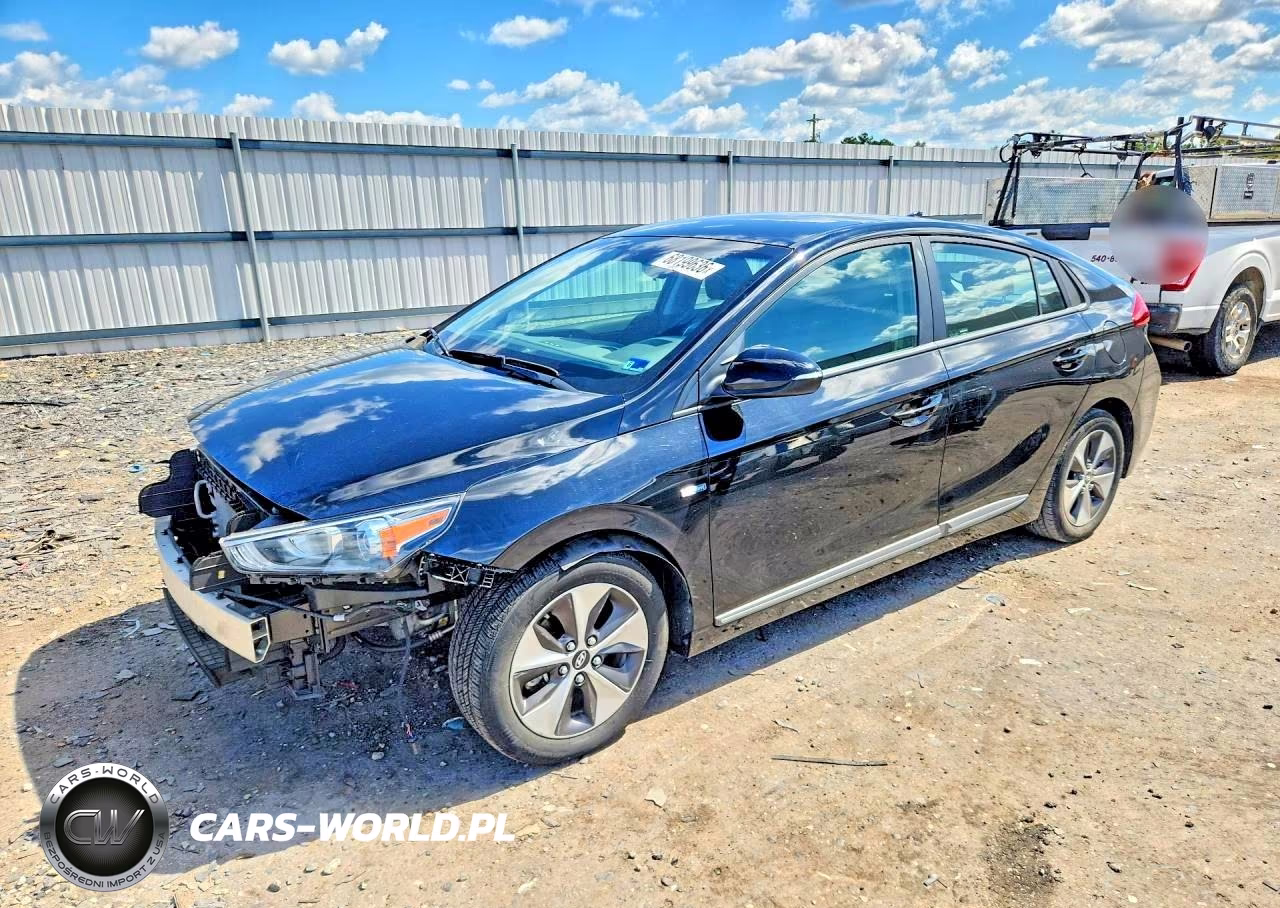 2019 Hyundai Ioniq Electric Base VIN:KMHC75LH5KU047328 - 1