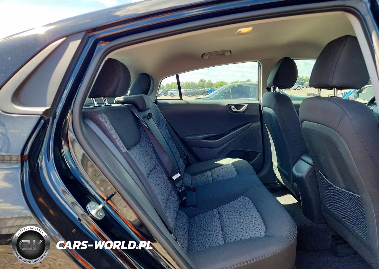 2019 Hyundai Ioniq Electric Base VIN:KMHC75LH5KU047328 - 10