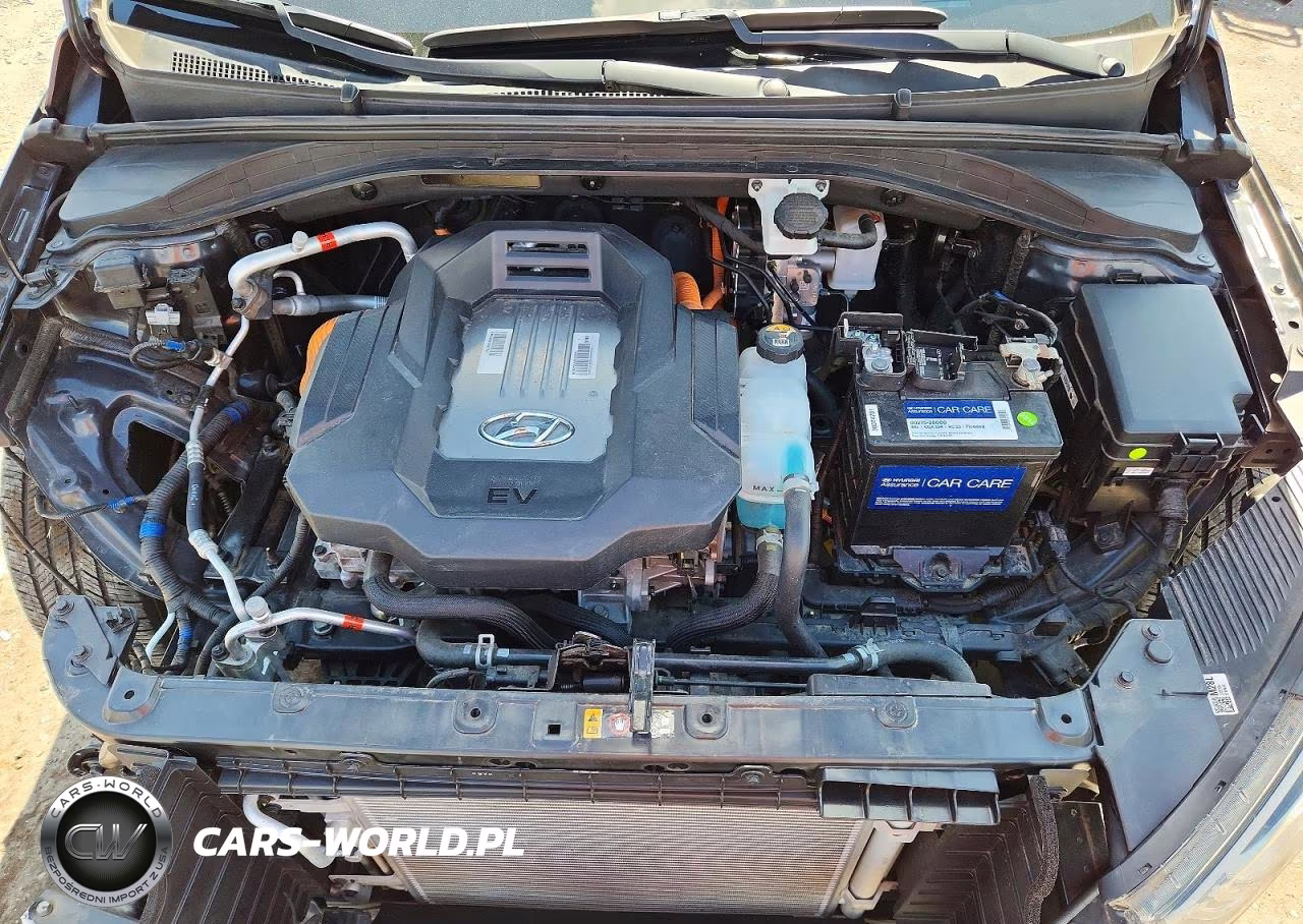 2019 Hyundai Ioniq Electric Base VIN:KMHC75LH5KU047328 - 11