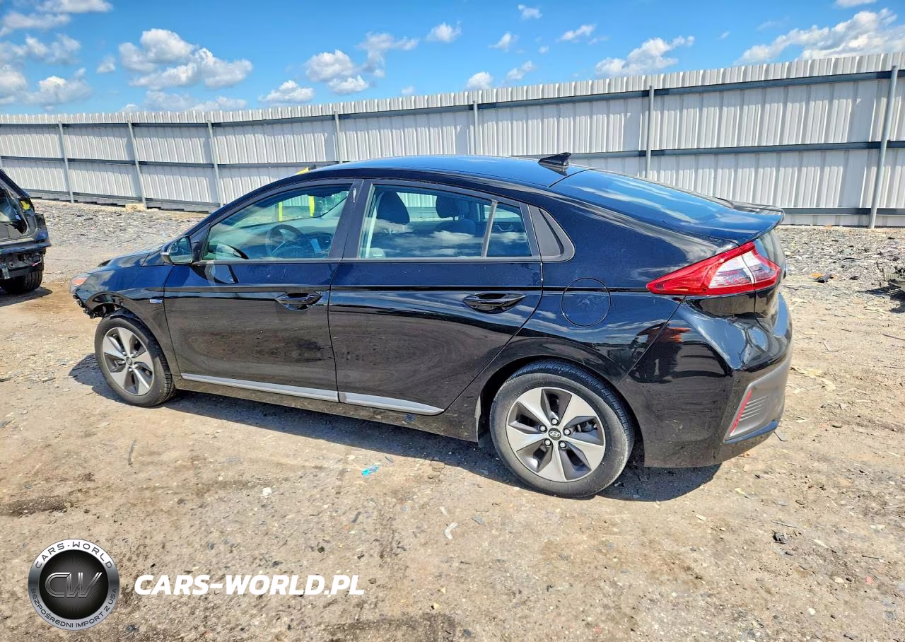2019 Hyundai Ioniq Electric Base VIN:KMHC75LH5KU047328 - 2