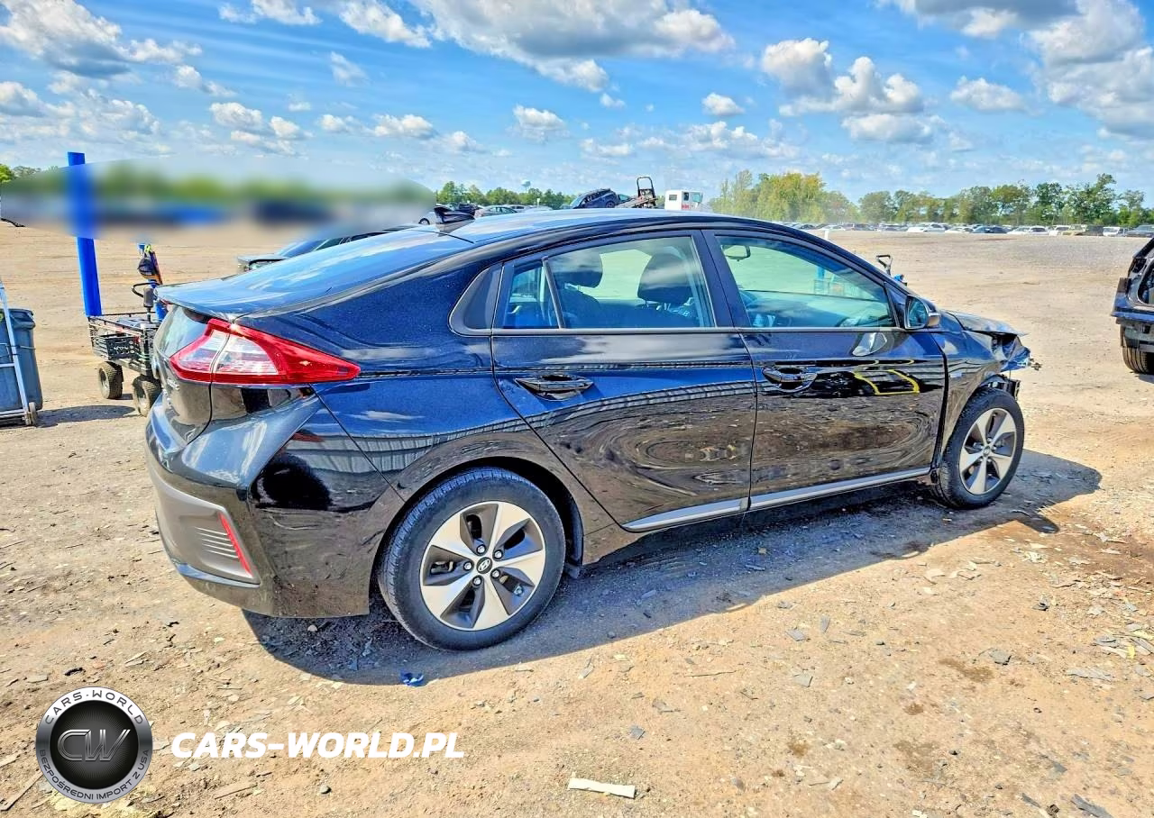 2019 Hyundai Ioniq Electric Base VIN:KMHC75LH5KU047328 - 3