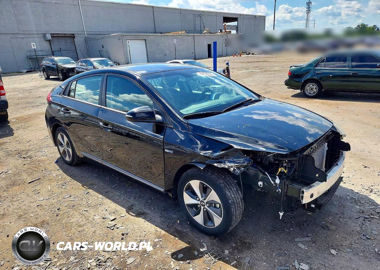 2019 Hyundai Ioniq Electric Base VIN:KMHC75LH5KU047328 - 4