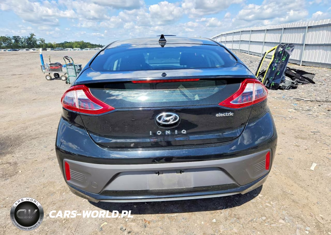 2019 Hyundai Ioniq Electric Base VIN:KMHC75LH5KU047328 - 6