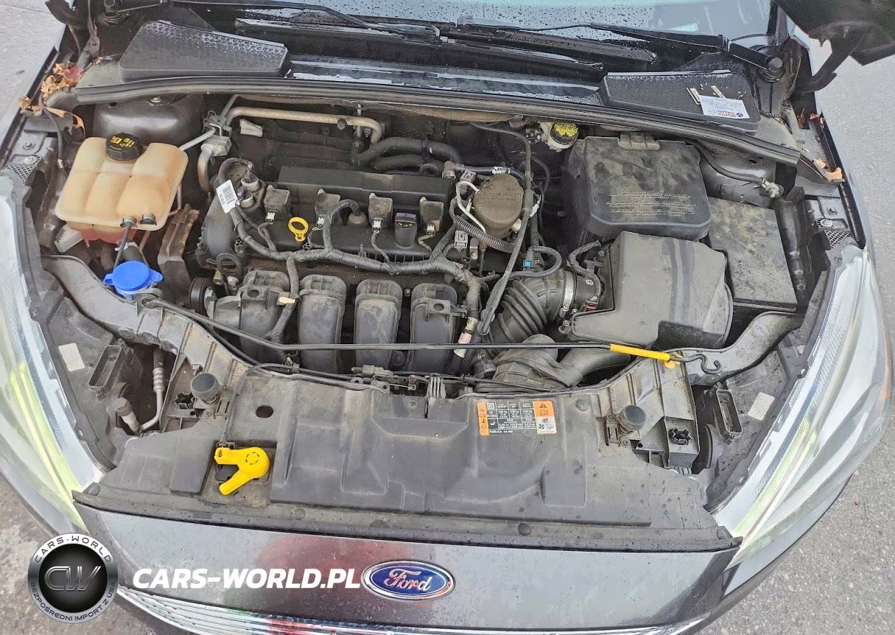 2016 Ford Focus Titanium VIN:1FADP3J25GL249567 - 11