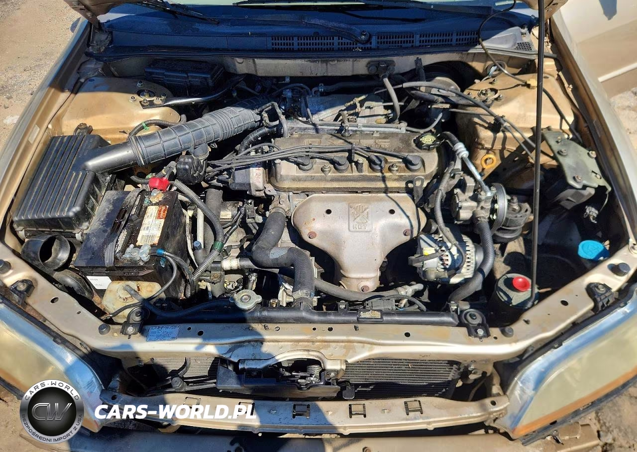 2002 Honda Accord Lx VIN:JHMCG56422C005622 - 11