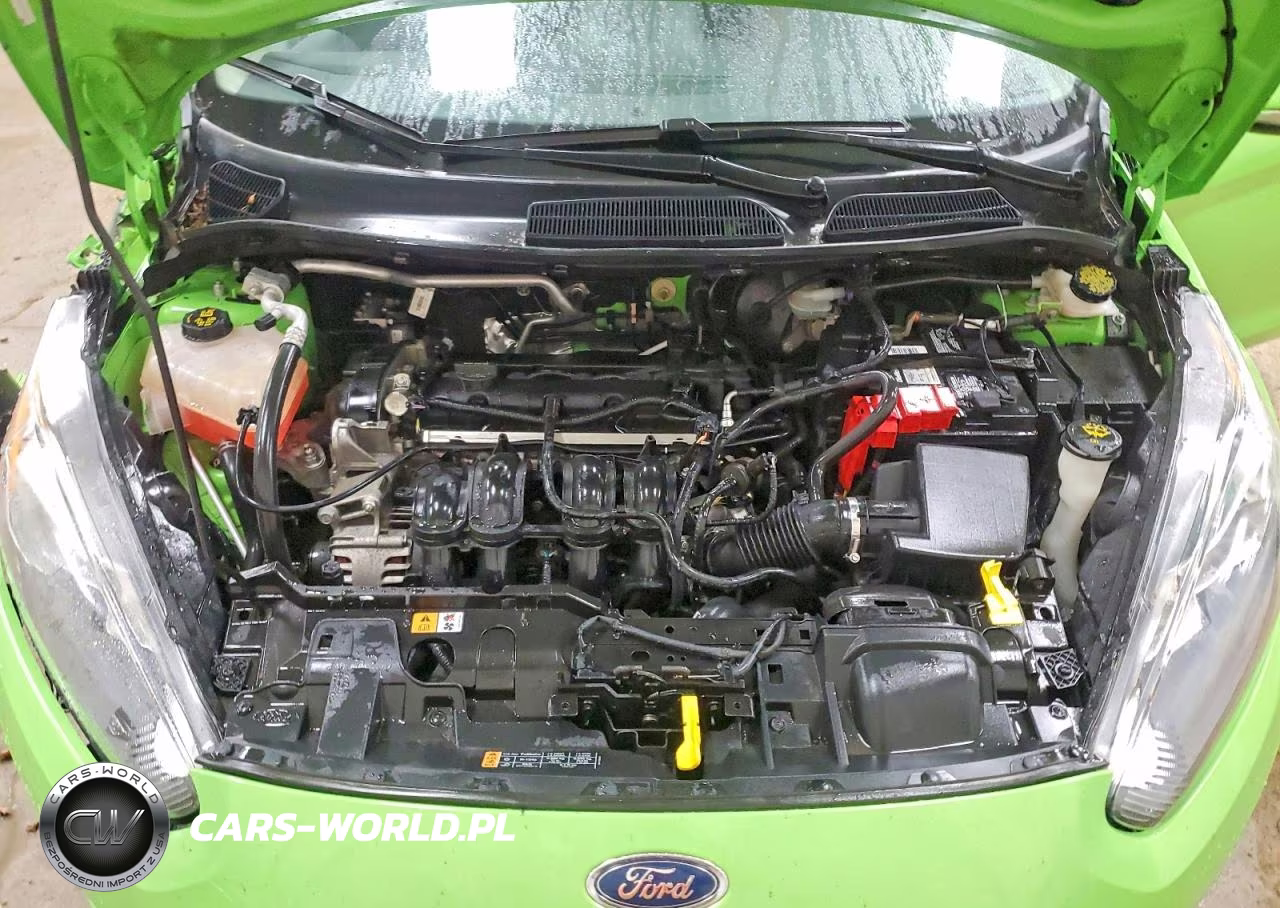 2014 Ford Fiesta Se VIN:3FADP4EJ2EM163054 - 11