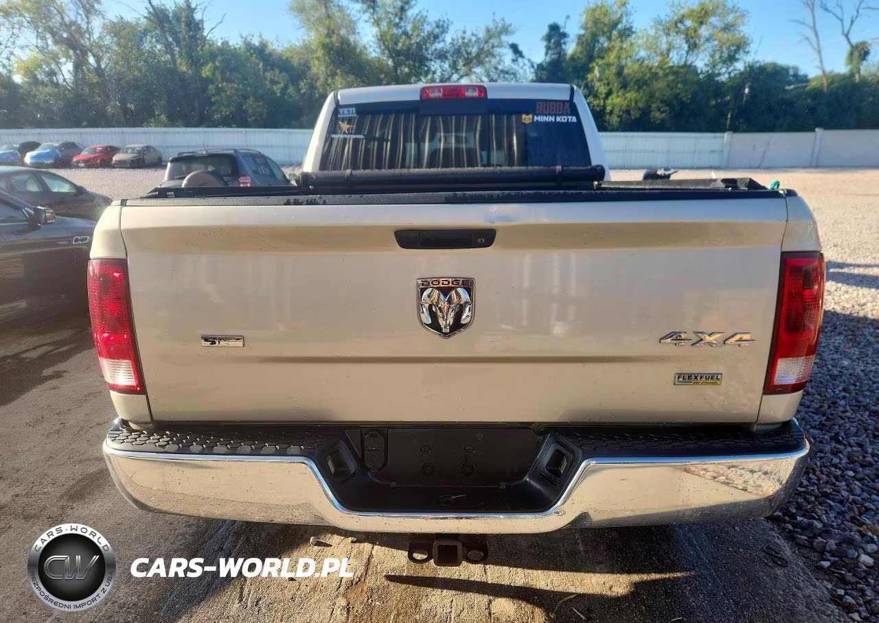 2010 Dodge Ram 1500 VIN:1D7RV1GP3AS197260 - 6