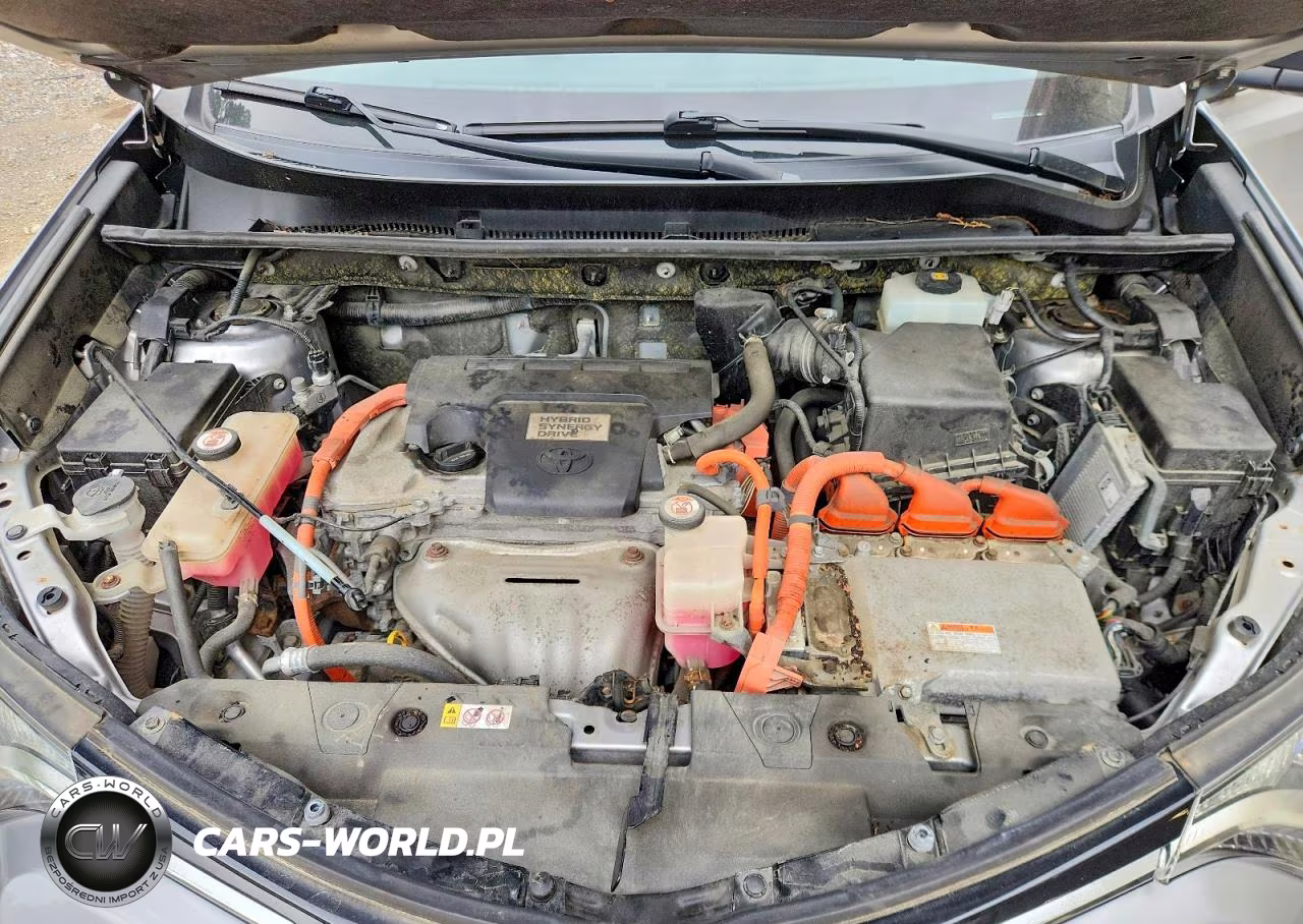 2018 Toyt Rav4 VIN:JTMRJREV6JD252696 - 12