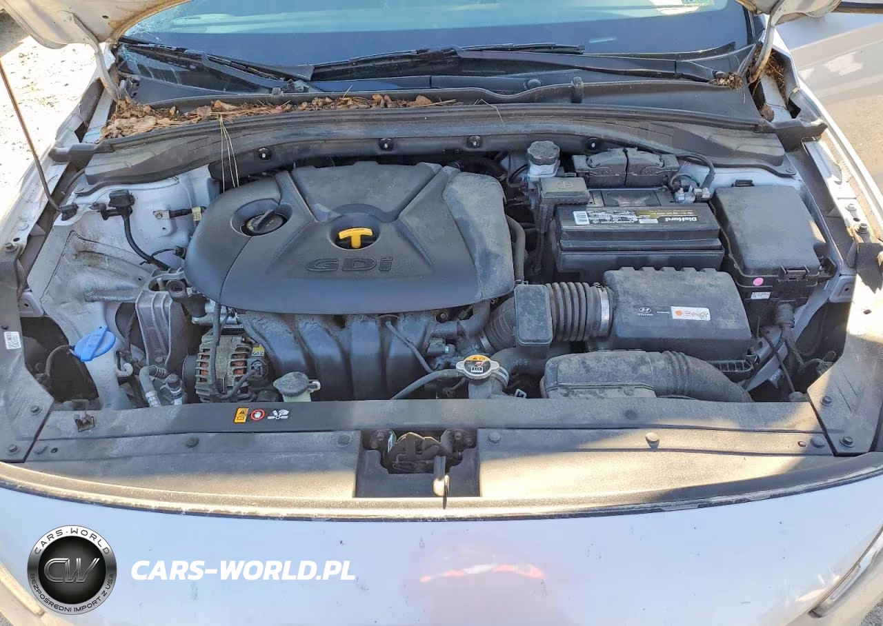 2018 Hyundai Elantra Gt Base VIN:KMHH35LE5JU012486 - 11