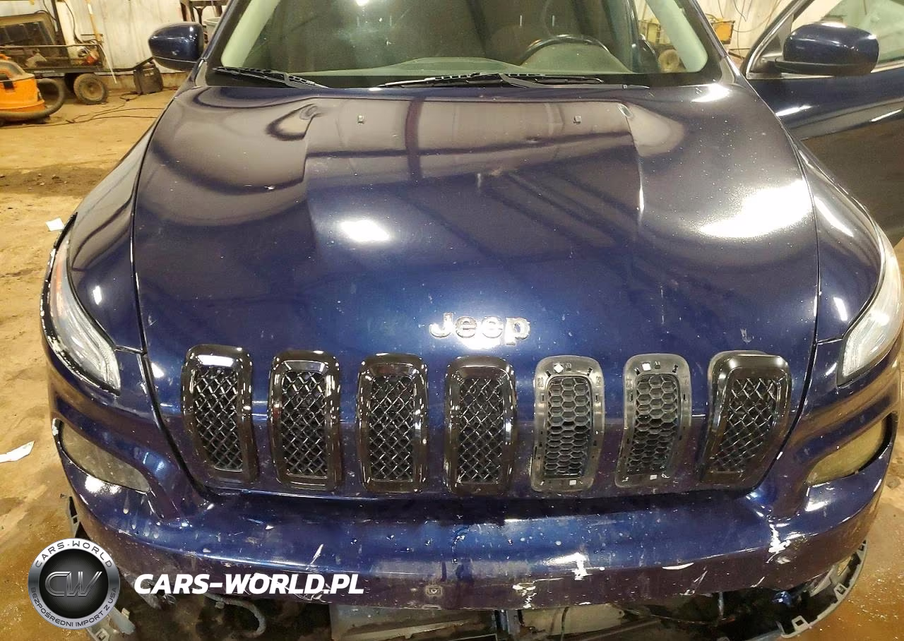 2016 Jeep Cherokee Latitude VIN:1C4PJLCB8GW293759 - 12