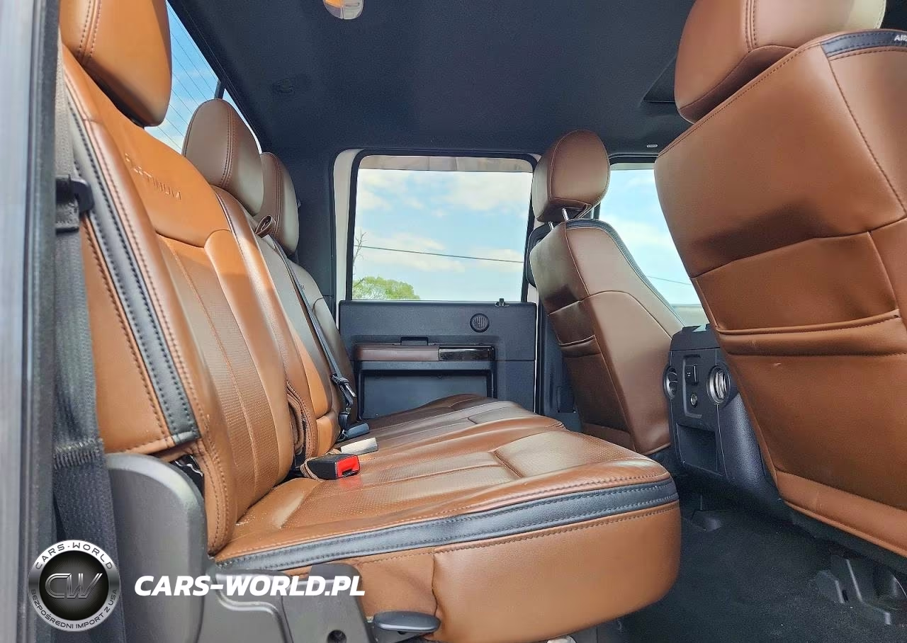 2015 Ford F350 Super Duty VIN:1FT8W3BT4FED41861 - 10
