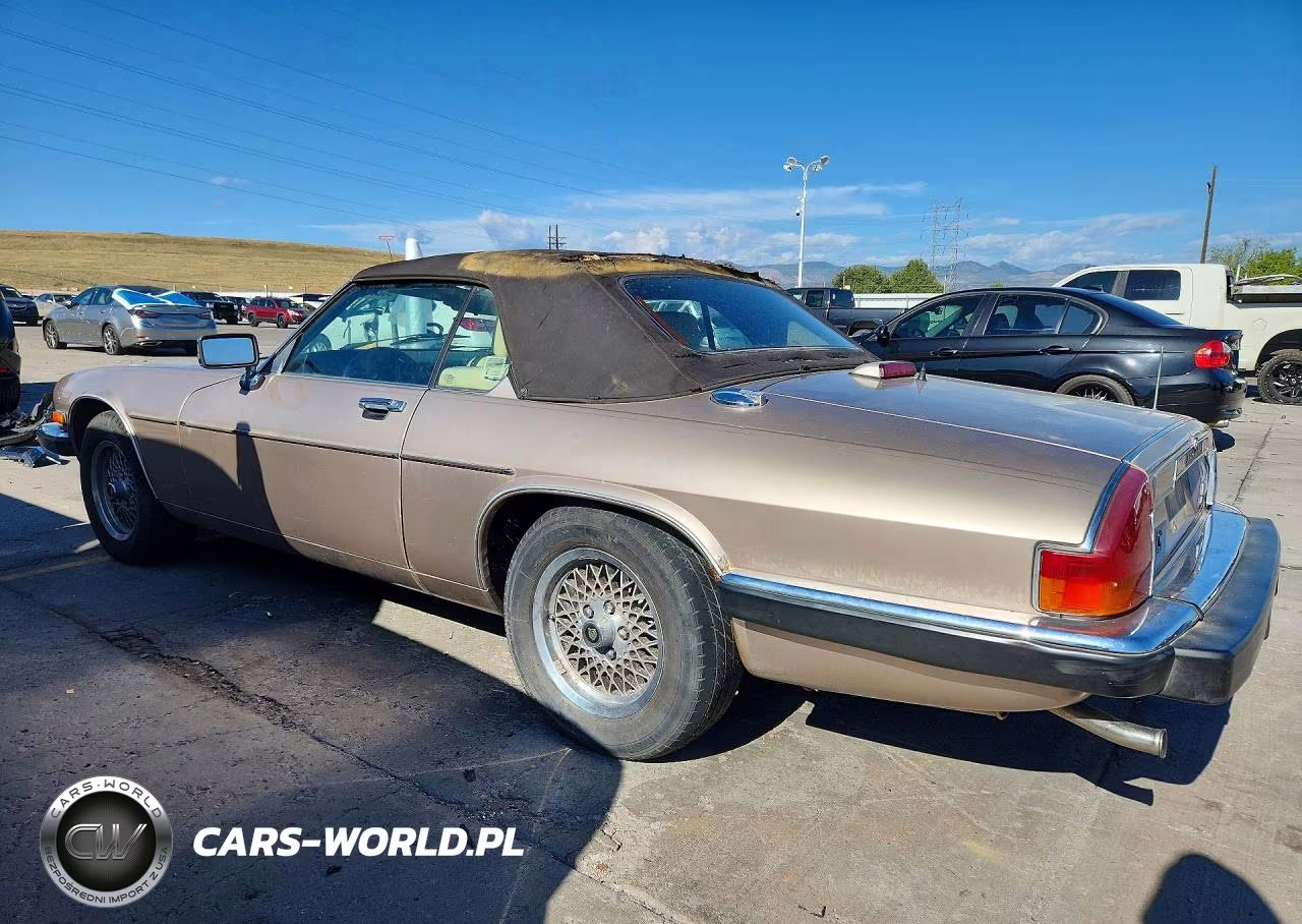 1991 Jaguar Xjs Classic Collection VIN:SAJTW4844MC177151 - 2