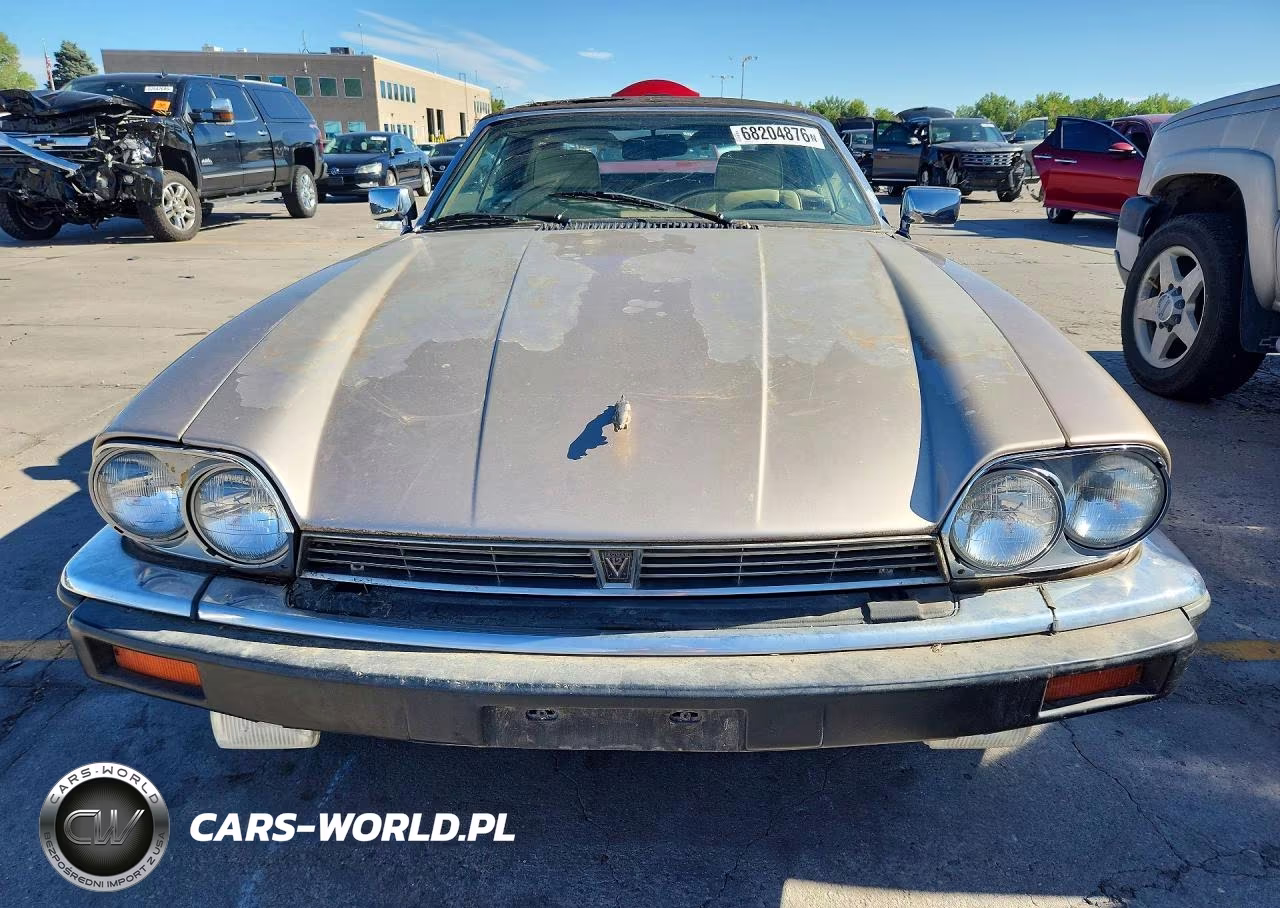 1991 Jaguar Xjs Classic Collection VIN:SAJTW4844MC177151 - 5