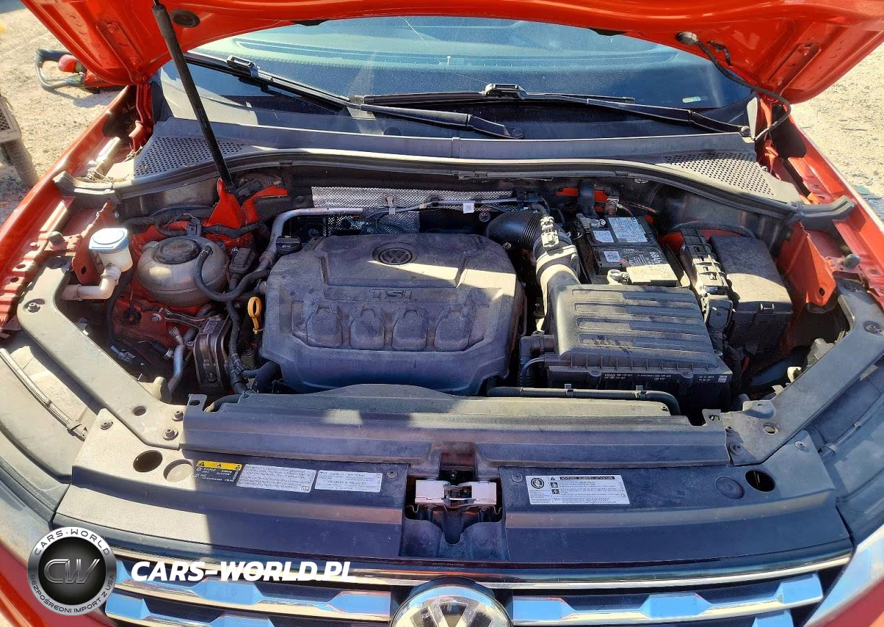 2019 Volkswagen Tiguan S VIN:3VV0B7AX8KM093561 - 12