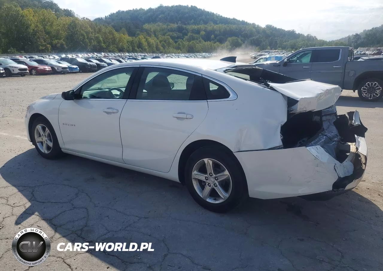 2022 Chevrolet Malibu Ls VIN:1G1ZB5ST6NF208774 - 2