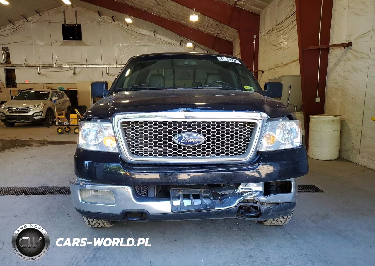 2004 Ford F150 VIN:1FTPX14594NA16325 - 5