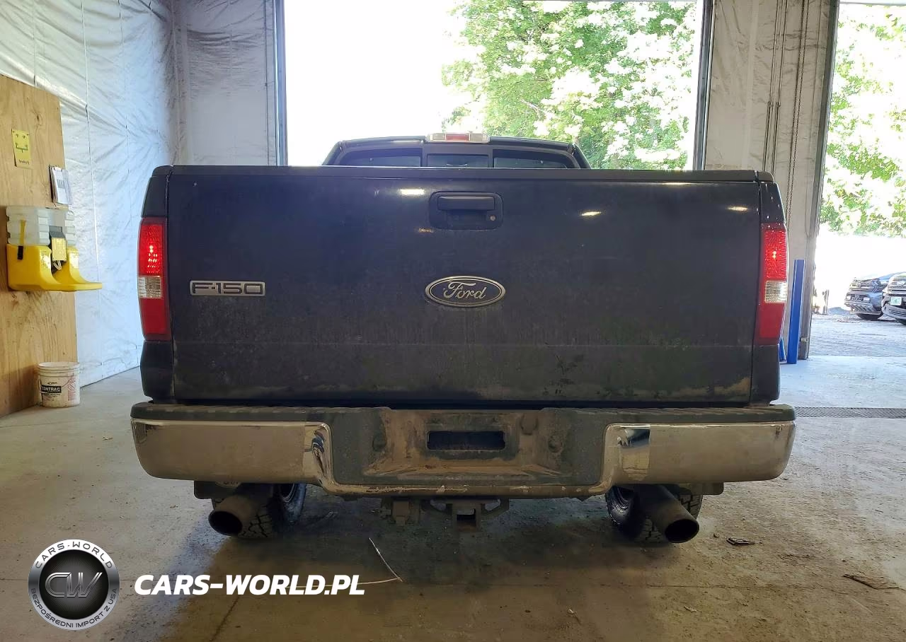 2004 Ford F150 VIN:1FTPX14594NA16325 - 6