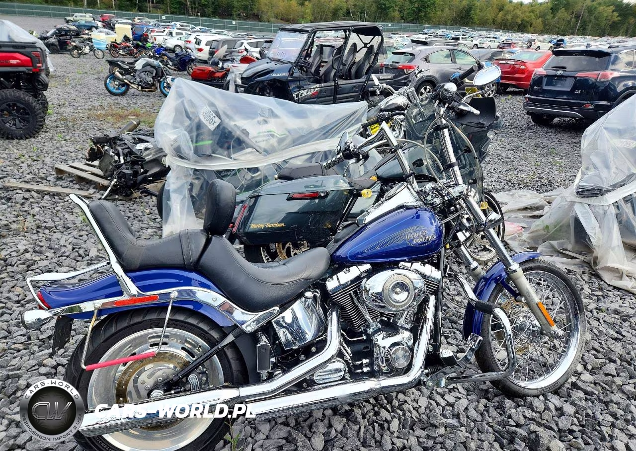 2007 Harley-Davidson Fxst Custom – zdjęcie 1 z 9