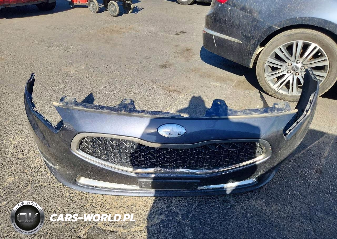 2014 Kia Cadenza Premium VIN:KNALN4D78E5130872 - 12