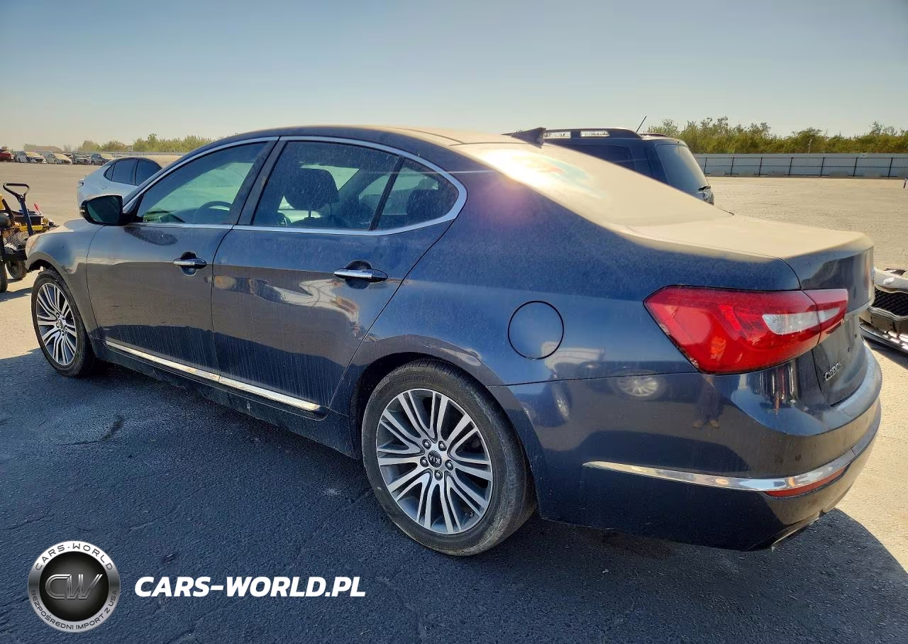 2014 Kia Cadenza Premium VIN:KNALN4D78E5130872 - 2