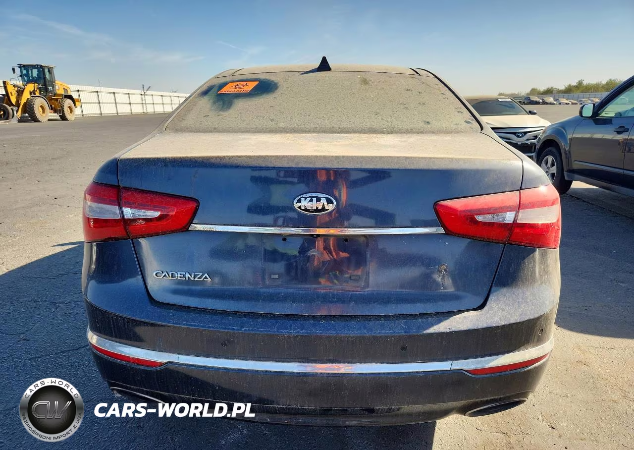 2014 Kia Cadenza Premium VIN:KNALN4D78E5130872 - 6
