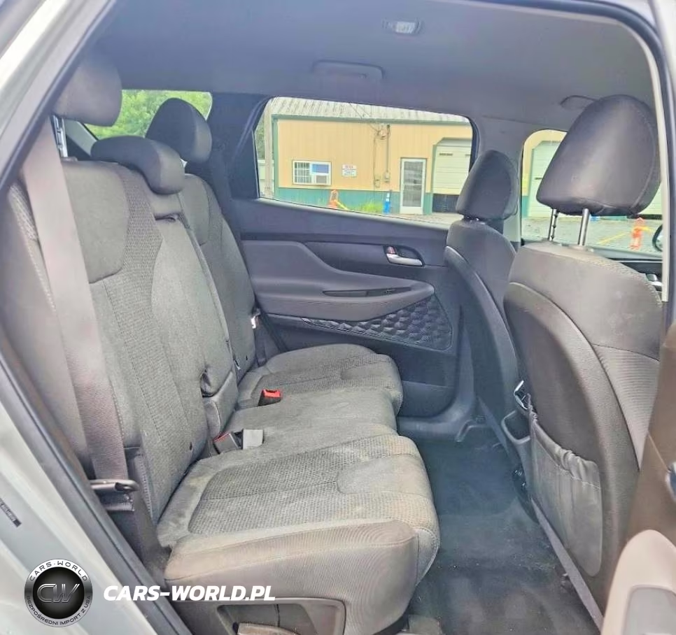 2020 Hyundai Santa Fe Se VIN:5NMS2CAD2LH185176 - 10