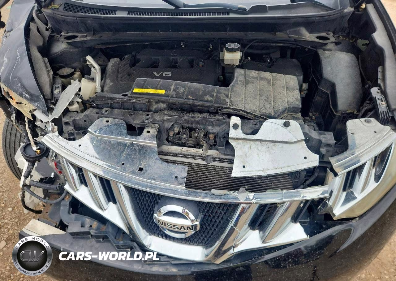 2009 Nissan Murano S VIN:JN8AZ18W09W121263 - 11