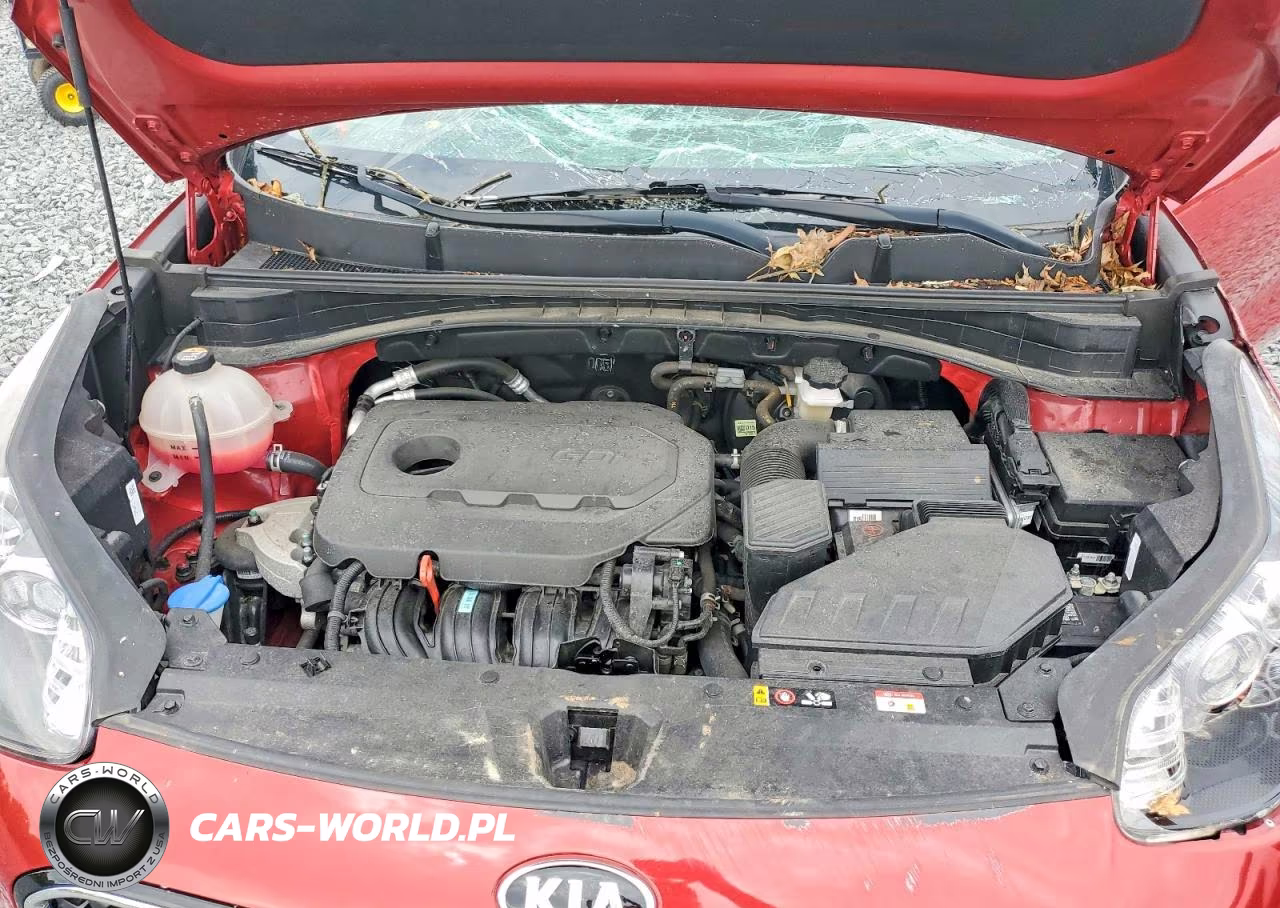 2022 Kia Sportage Lx VIN:KNDPMCAC3N7994252 - 12