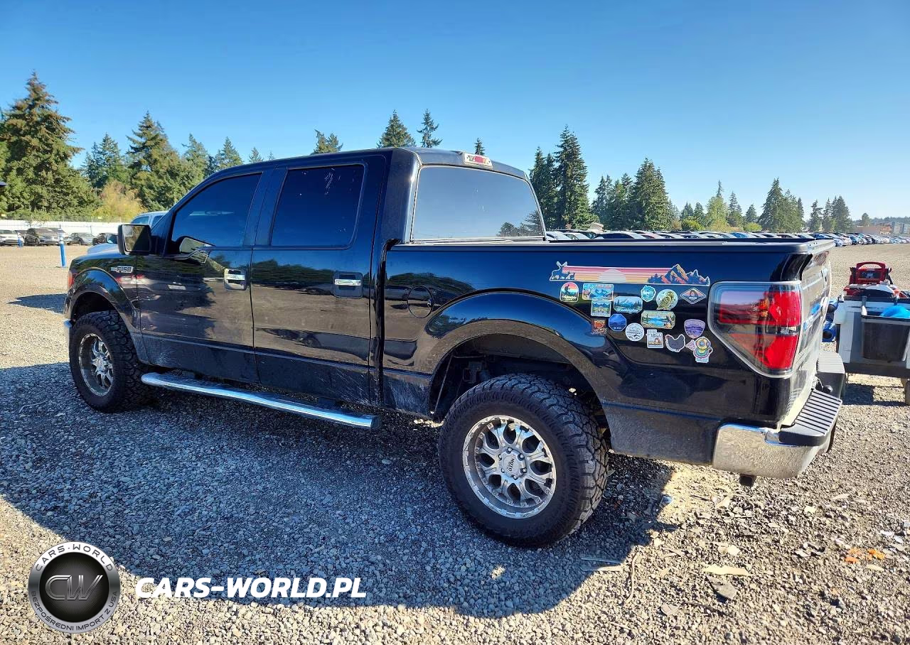 2011 Ford F150 Supercrew VIN:1FTFW1EF8BFC77491 - 2