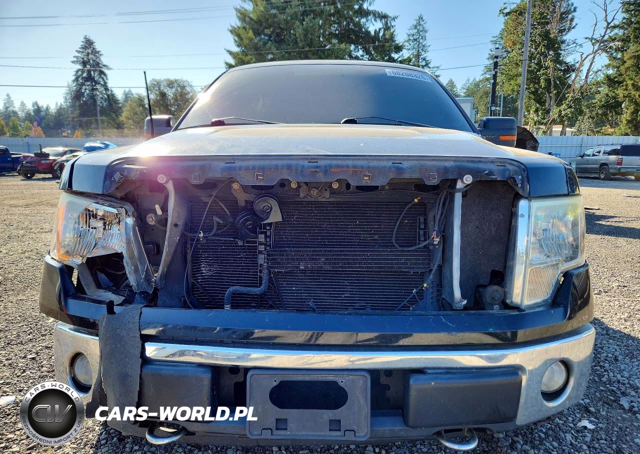 2011 Ford F150 Supercrew VIN:1FTFW1EF8BFC77491 - 5
