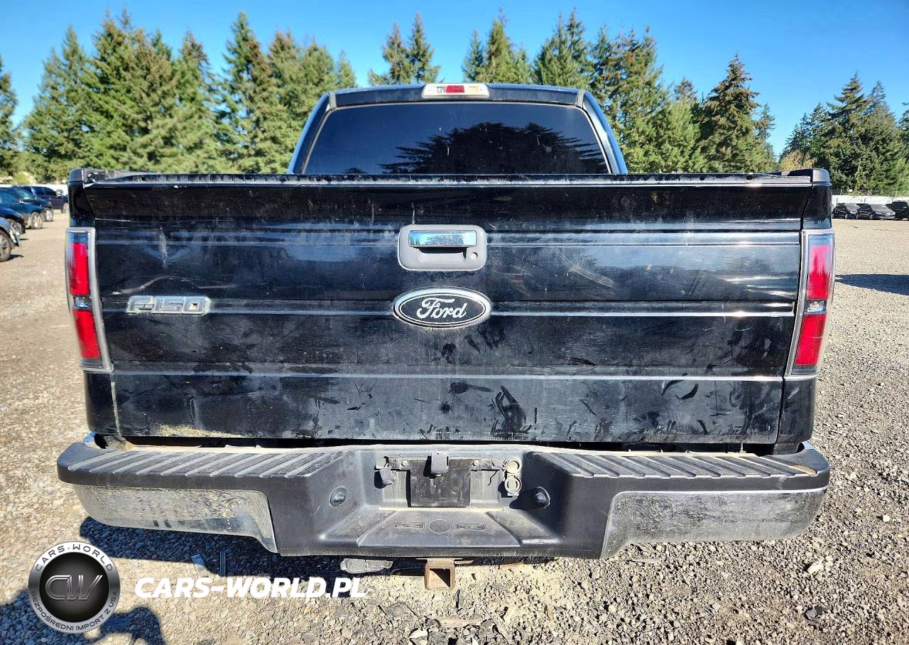 2011 Ford F150 Supercrew VIN:1FTFW1EF8BFC77491 - 6