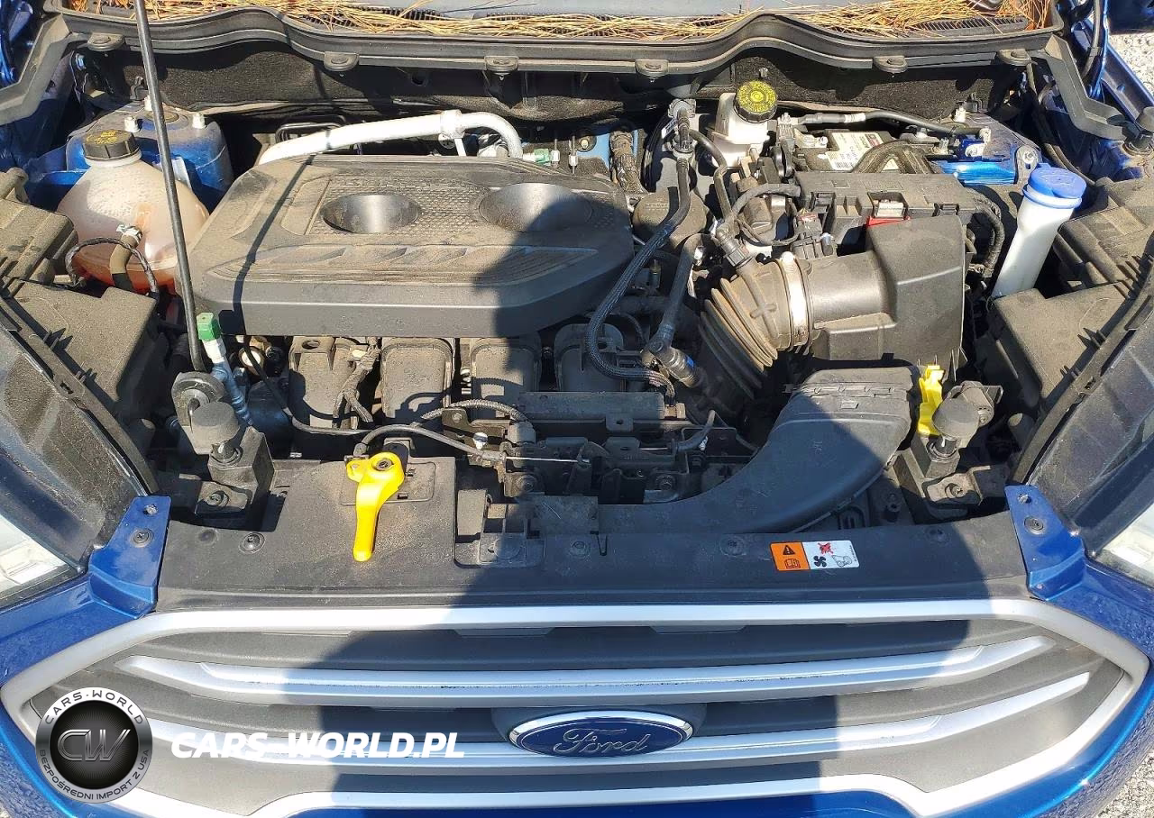 2020 Ford Ecosport Se VIN:MAJ6S3GL4LC311932 - 12