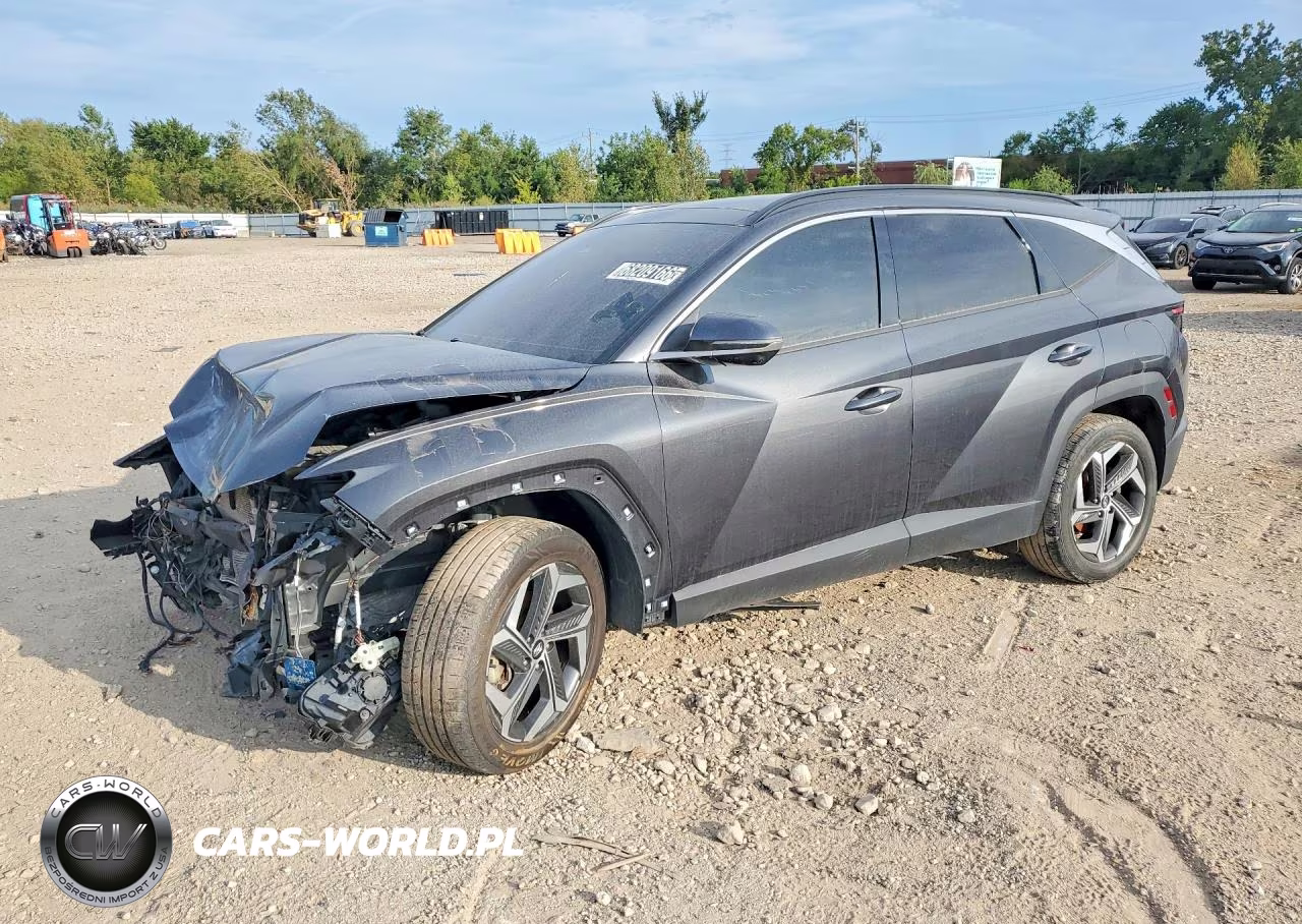 2023 Hyundai Tucson Limited VIN:5NMJECAE8PH202208 - 1