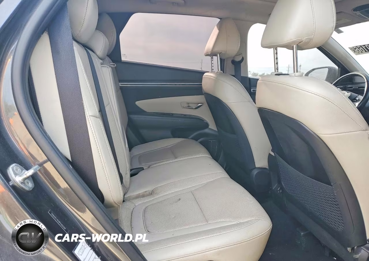2023 Hyundai Tucson Limited VIN:5NMJECAE8PH202208 - 11