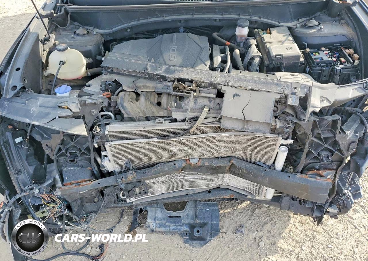 2023 Hyundai Tucson Limited VIN:5NMJECAE8PH202208 - 12