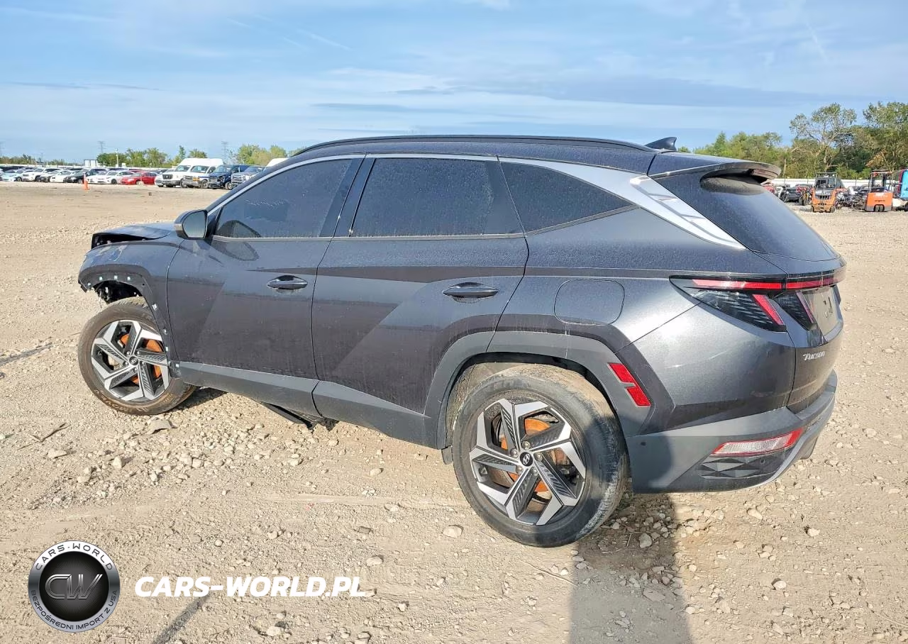 2023 Hyundai Tucson Limited VIN:5NMJECAE8PH202208 - 2