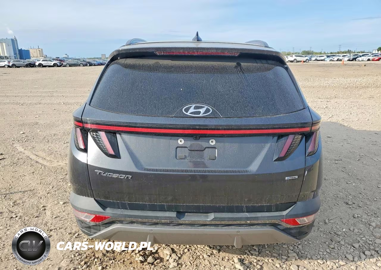 2023 Hyundai Tucson Limited VIN:5NMJECAE8PH202208 - 6