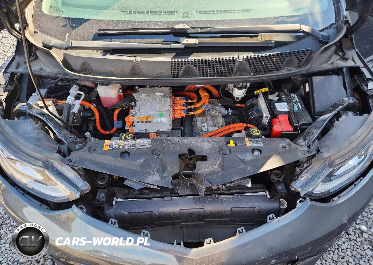 2017 Chevrolet Bolt Ev Lt VIN:1G1FW6S05H4113366 - 11