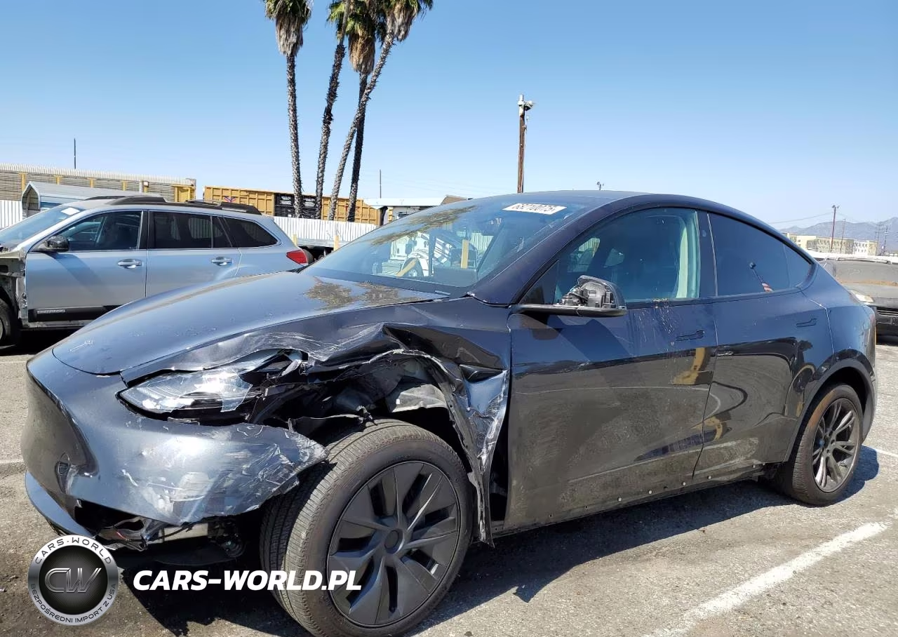 2024 Tesla Model Y