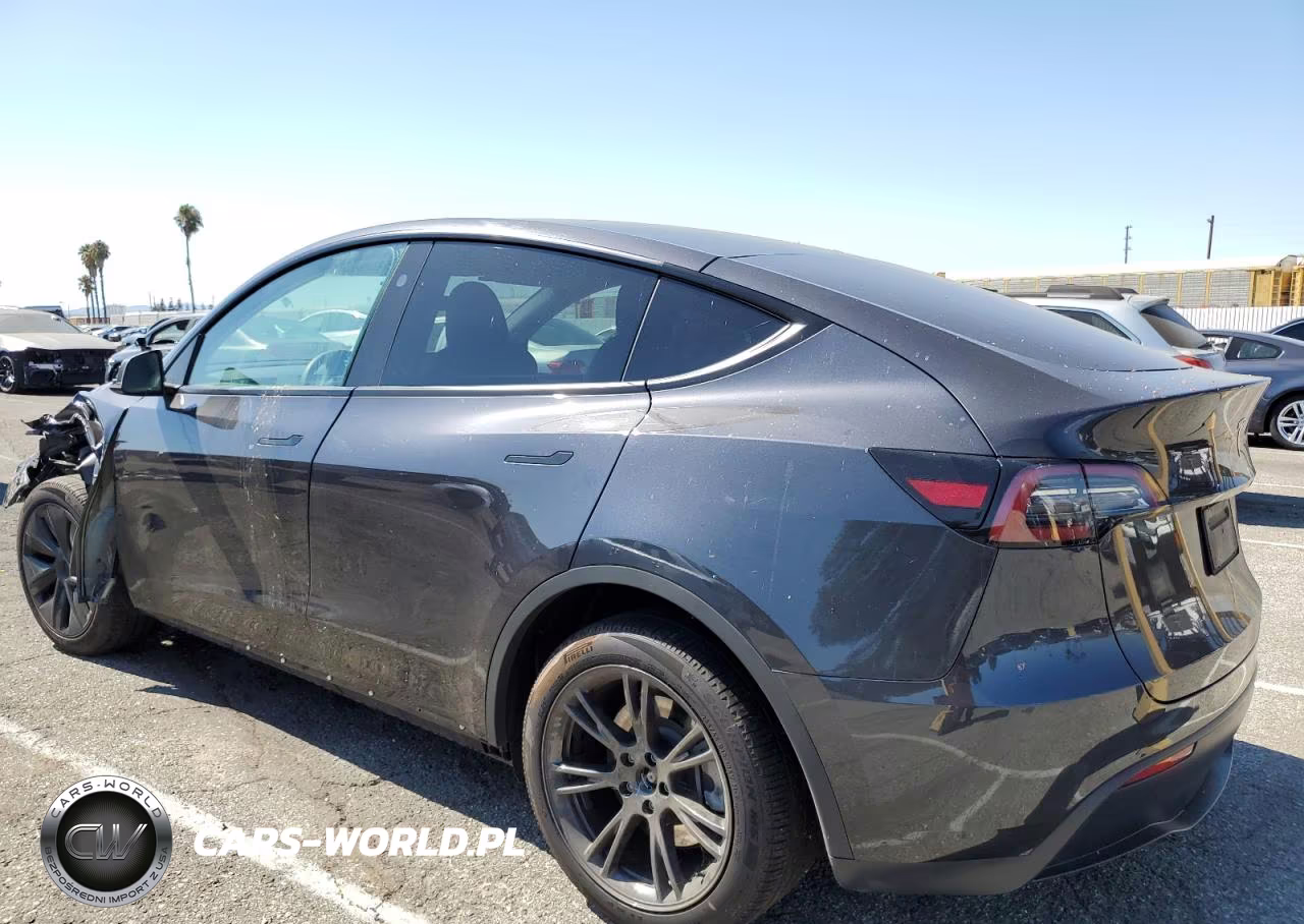 2024 Tesla Model Y VIN:7SAYGDED4RF162023 - 2