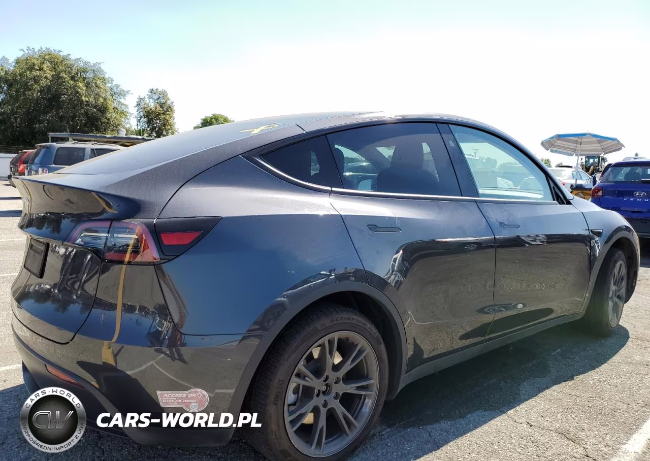 2024 Tesla Model Y VIN:7SAYGDED4RF162023 - 3