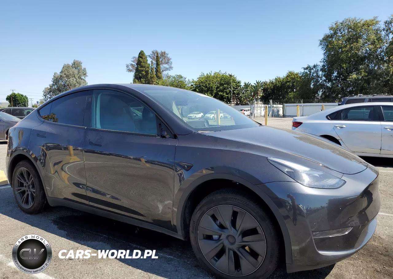 2024 Tesla Model Y VIN:7SAYGDED4RF162023 - 4