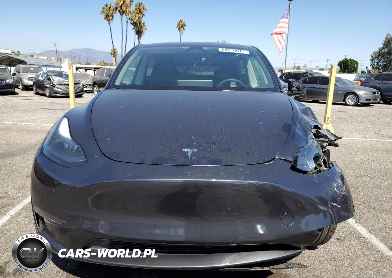 2024 Tesla Model Y VIN:7SAYGDED4RF162023 - 5