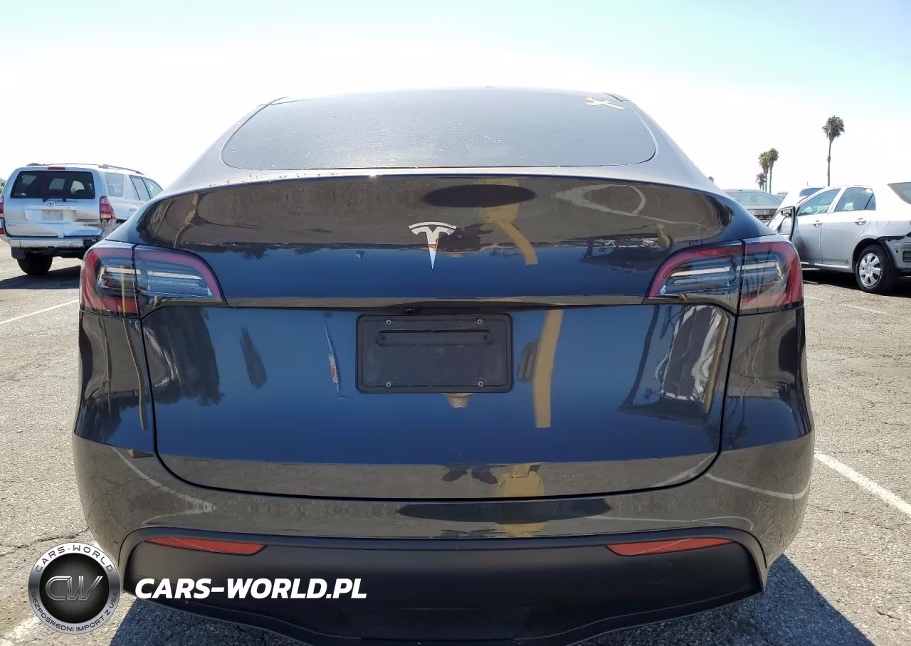 2024 Tesla Model Y VIN:7SAYGDED4RF162023 - 6