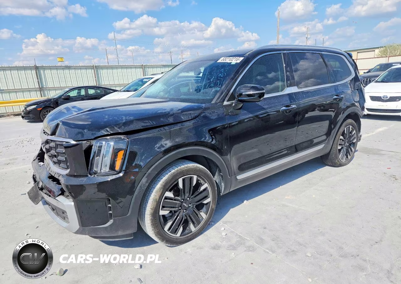 2024 Kia Telluride Sx VIN:5XYP54GC5RG553371 - 1