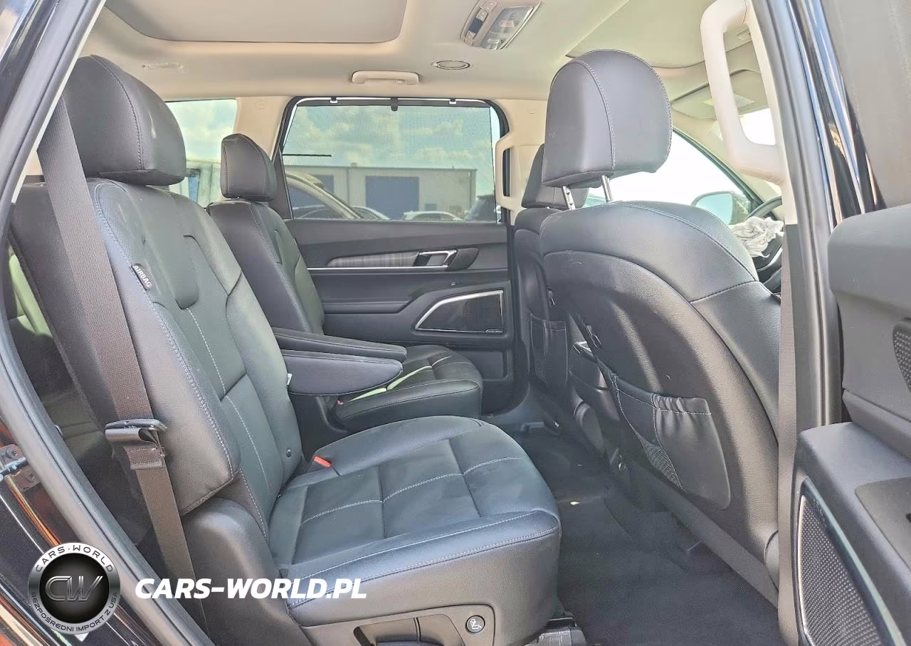 2024 Kia Telluride Sx VIN:5XYP54GC5RG553371 - 11
