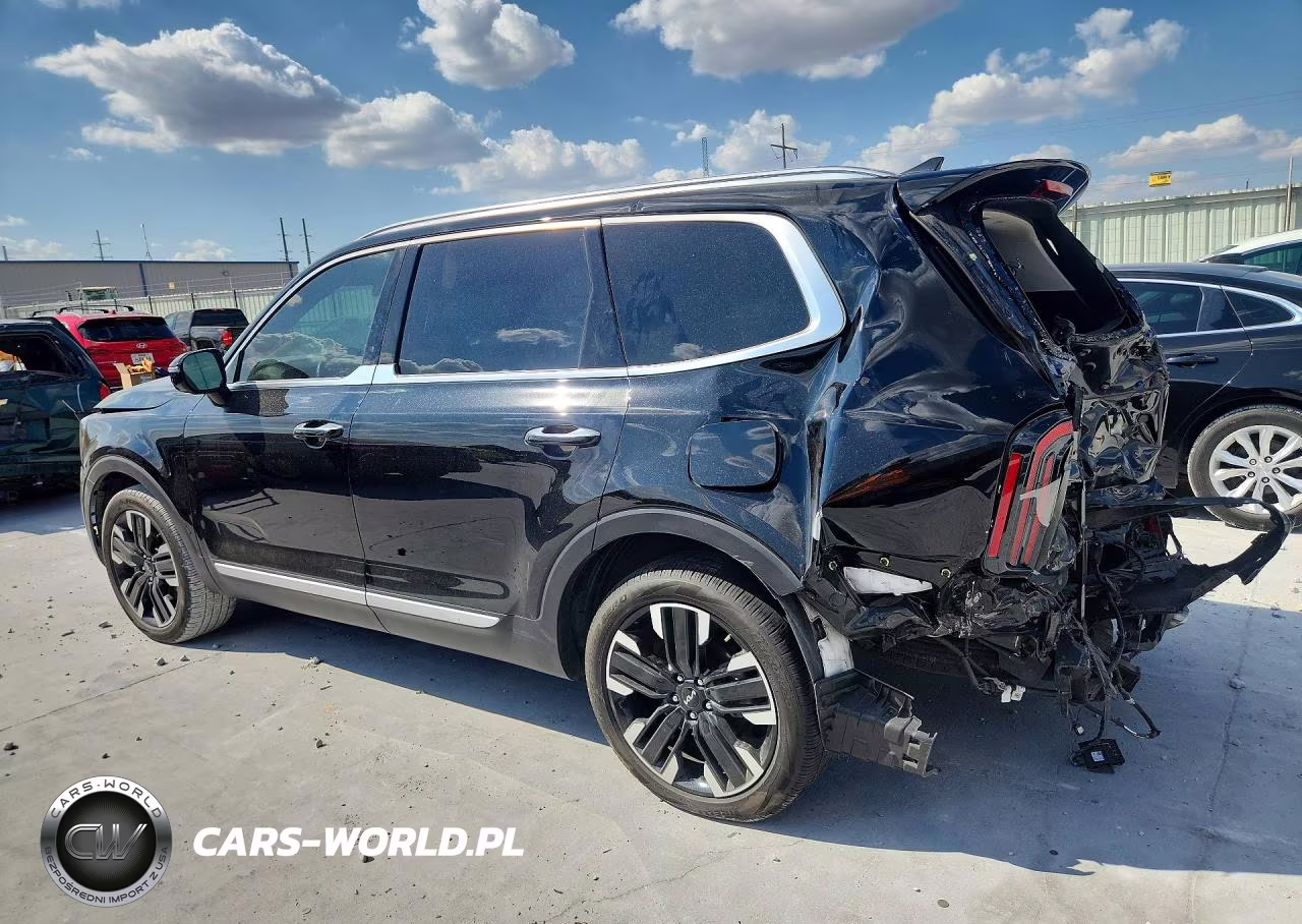 2024 Kia Telluride Sx VIN:5XYP54GC5RG553371 - 2