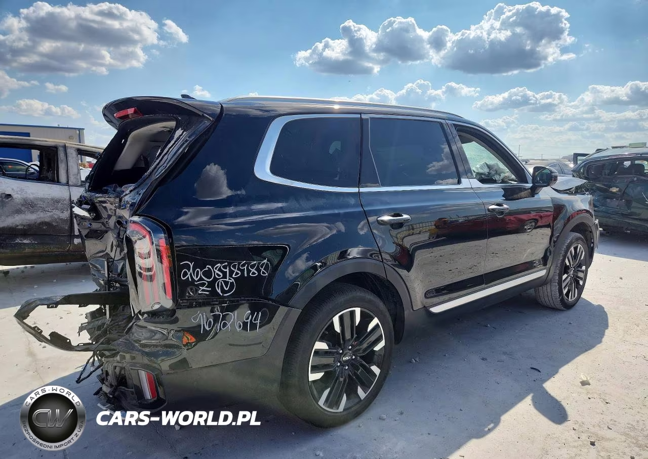 2024 Kia Telluride Sx VIN:5XYP54GC5RG553371 - 3