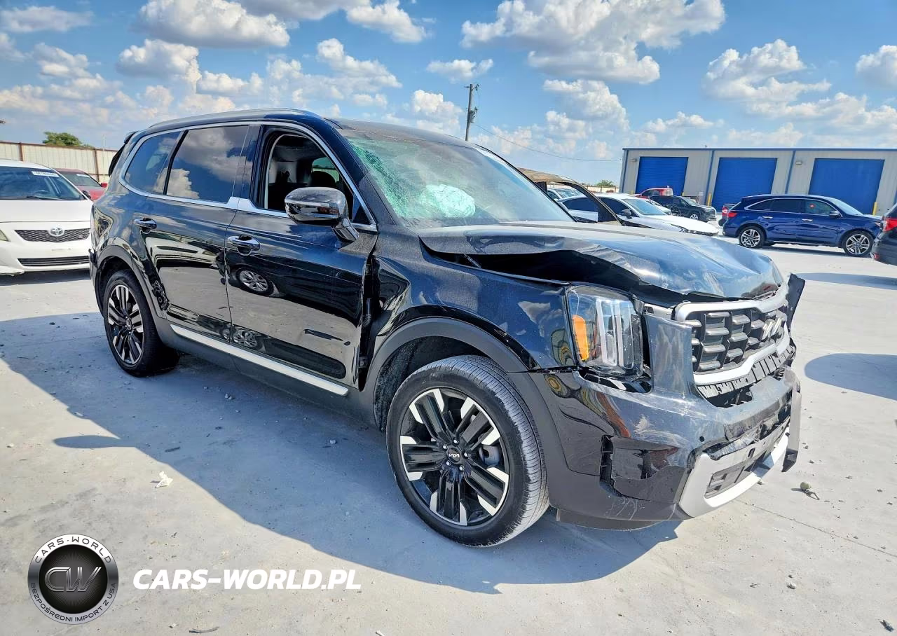 2024 Kia Telluride Sx VIN:5XYP54GC5RG553371 - 4