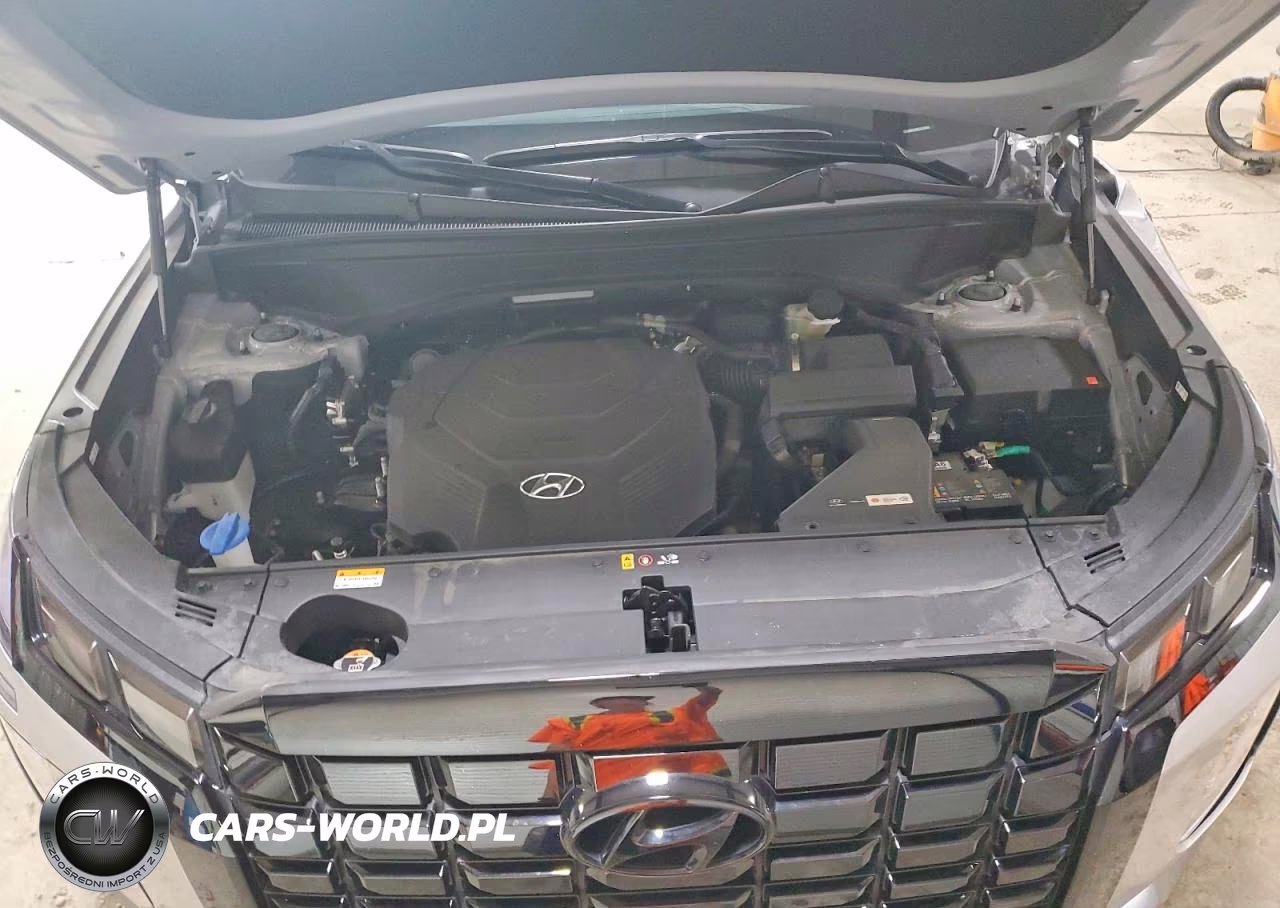 2025 Hyundai Palisade Sel VIN:KM8R2DGE6SU918840 - 12